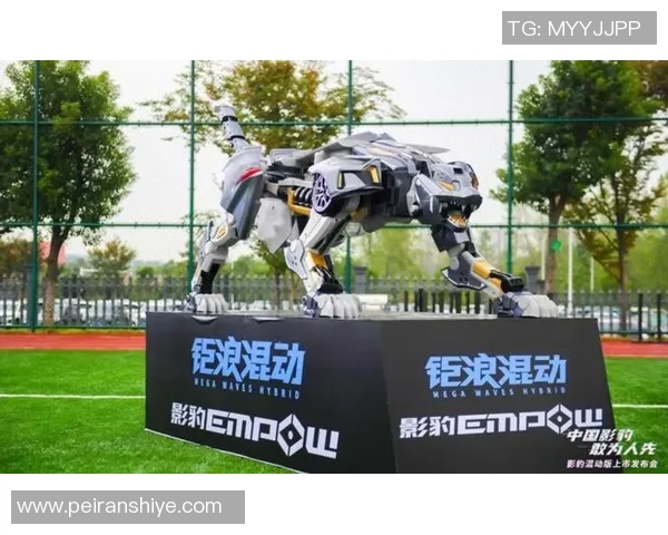 武汉足球队转型之路的挑战与机遇深度解析与未来展望